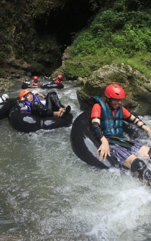 Pexels Photo 1305095.jpeg